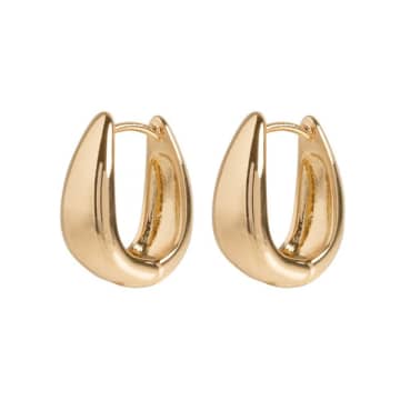 Timi Gold Classic Wide Hoop Earrings