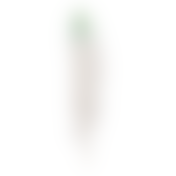 Borsa di 12 pezzi Ombre verde chiaro bianco piuma d'oca