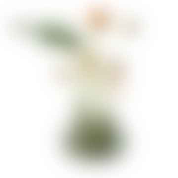 Waldgrüne Ikeru niedrige Vase