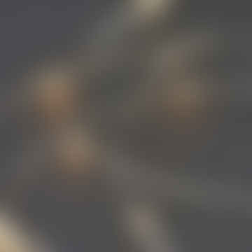Guirlande lumineuse argentée 10m