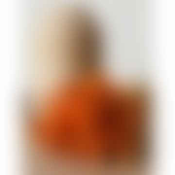 Lagurus orange