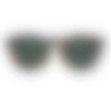 Gafas de sol Jordaan Reef con lentes clásicas