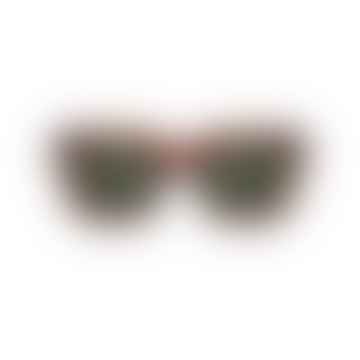 Nancy Brown Transparent Sunglasses