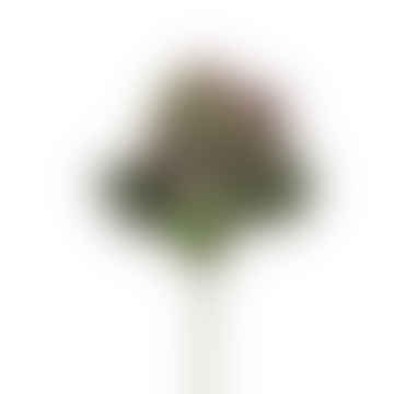 Large Hydrangea Flower