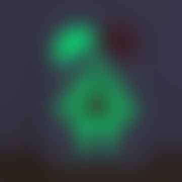Omy visualizza Leoula fosforescente di notte