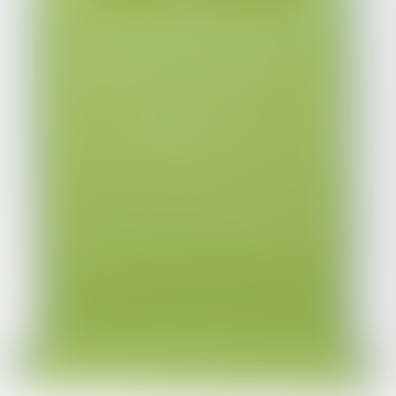 70x300 cm Emanuela Reps Rug, Lime/Greygreen