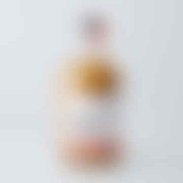 Alcool Ging-gingembre gratuit NO2 Brut Concentré Buvez 700 ml