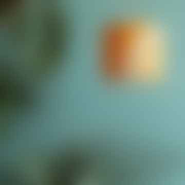 Tangerine Dream 8" Linen Lampshade