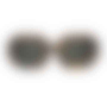 Tortuga de Sagene Guetah con lentes clásicas Gafas de sol