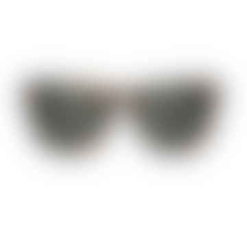 Tortuga Alameda Cheetah con lentes clásicas Gafas de sol