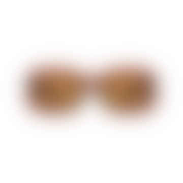 Salo Sunglasses - Brown Transparent