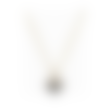 Collier pendentif en demi-cercle Lark - Labradorite (or)
