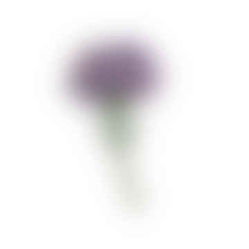 Viola carnate pin