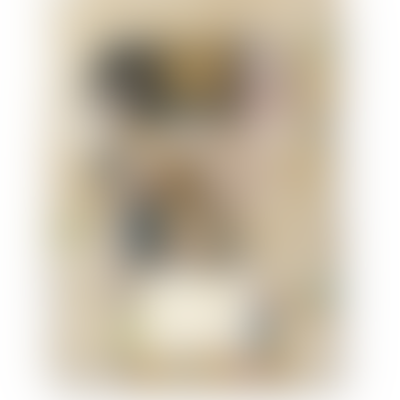 Gustav Klimt The Complete Paintings Book by Tobias G Natter