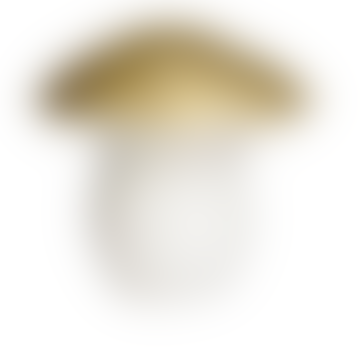 Gold Mushroom Heico Lamp
