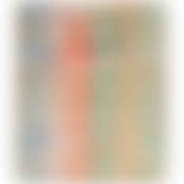 (210358) cracker medi di frangia pastello (x 6)