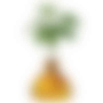 Avocado Vase - Mellow Yellow