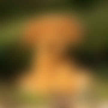 Animigos Welt der Natur Cockapoo Hund