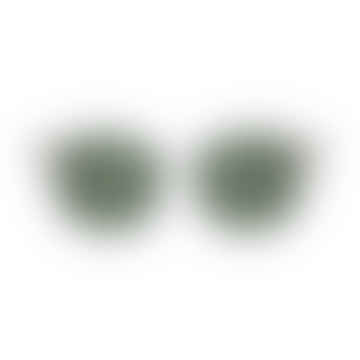 Equinoctial | Alt Fit Clear Polarized Sunglasses