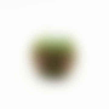 Sonajero de kiwi de punto Pebble