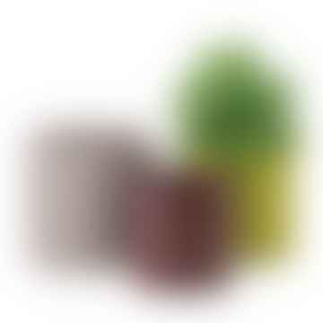 Siena Porzellan Pflanzentöpfe in herbstlichen Farben Set von 3