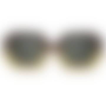 Sagene Hive con lentes clásicas Gafas de sol