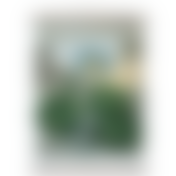 Wandbehang Seerose