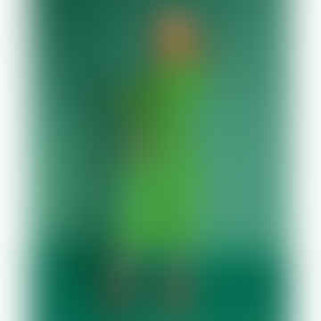 Long Velvet Dressing Gown / Bathrobe - Blossom Green