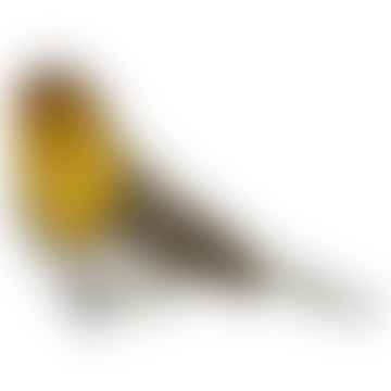 13 cm brauner und gelber Federvogel mit Clip