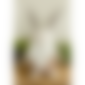 Figurine Devid Gnome - 31cm