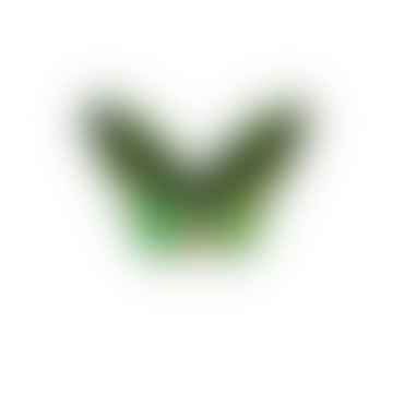 A4 Makrofotografie Poster Green Butterfly