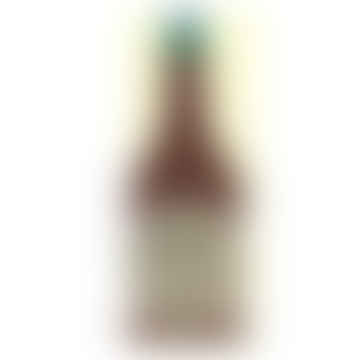 Cheers Beer Bottle Card By Hadley Paper Goods