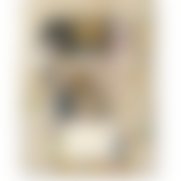 Gustav Klimt Das komplette Gemäldebuch von Tobias G Natter