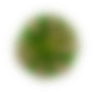 Placa de curva de vidrio verde y beige