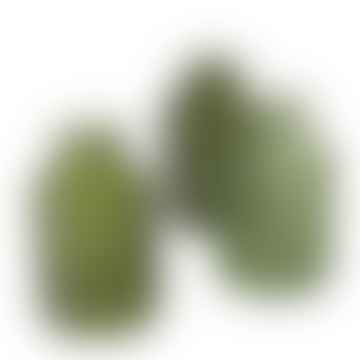 Set von 3 grünen Merula -Glasknospen -Vasen