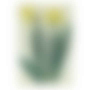 Daffodil Tray By