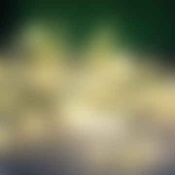 Guirlande lumineuse Allium Starburst