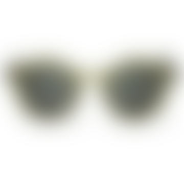 Dalston Matte Basil Sunglasess with Classical Lenses