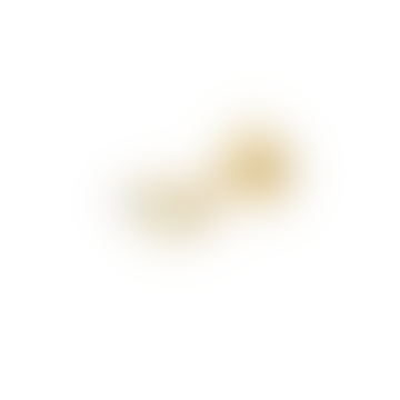 Zohreh v Opal & Diamond Flat Back Earring Gold de 14k