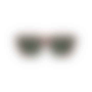 Jay Bronze Sunglasses