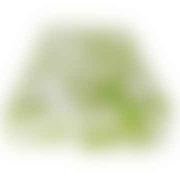 Farnblatttisch Läufer: grünes Blatt oder weißes Blatt