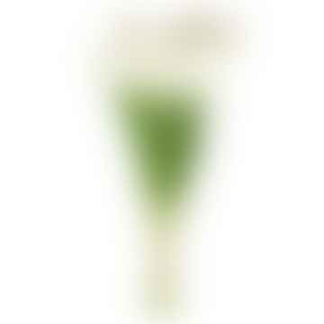 Set di 7 grandi bouquet di tulipani in finto bianco