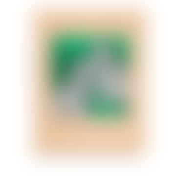 Lámina Decorativa 'King Charles Spaniels' - 50x50cm / Fondo Verde