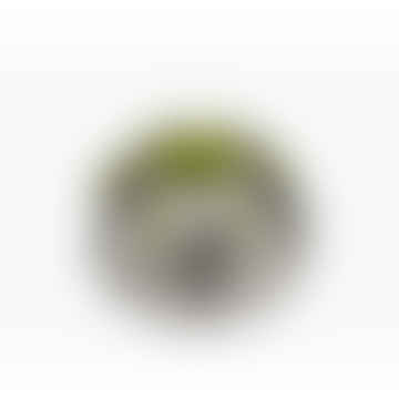 Blüte Stahlklappdampferkorb - Edelstahl/Grün