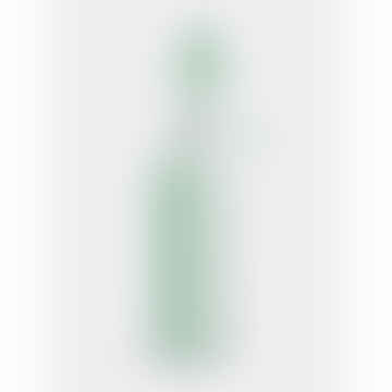 Chilly's Series 2 Flip Bottle 500ml - Lichen