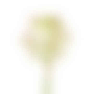 Bouquet di gipsofilia - 29 cm