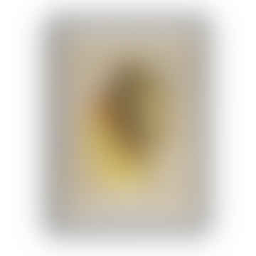 Fogli decorativi "lumache naturali" - 70x50 cm / design i