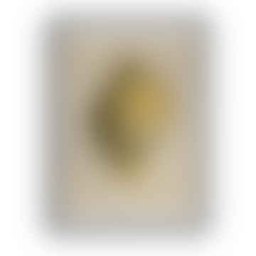 Fogli decorativi "lumache naturali" - 70x50 cm / design E