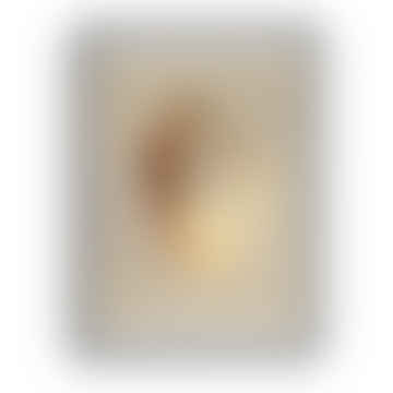 Fogli decorativi "lumache naturali" - 70x50 cm / design c