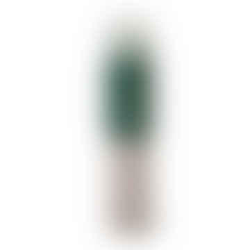 Cypress & Fir 100 Sticks de incienso verde en frasco de vidrio